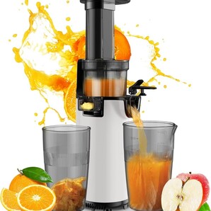 アセキ スロージューサー 搾りカス分離 低速回転 ジューサー 小型 ミキサー 高い搾汁率 酸化しにくい コンパクト フルーツ 野菜 ビタミン