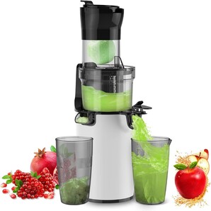 アセキ スロージューサー 搾りカス分離 低速回転 まるごと投入 ジューサー ミキサー 自動搾汁 高い搾汁率 酸化しにくい コンパクト