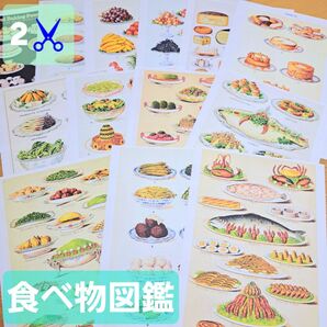 2♪ 海外 図鑑 食べ物 紙モノ デザインペーパー コラージュ アンティーク