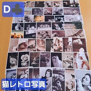 D 海外 写真 レトロ 猫 実写 紙モノ アンティーク ジャンク コラージュ