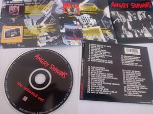 ■THE ANGRY SAMOANS（アングリーサモアンズ）■unboxed set■CD■zodiac killers/POWER POP/パンク天国/PUNK/パワーポップ