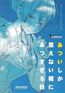 (D39-124) あついしか言えない程にあつすぎる日 / カガミツキ / カガミツキログ/ オリジナル A5　 同人誌