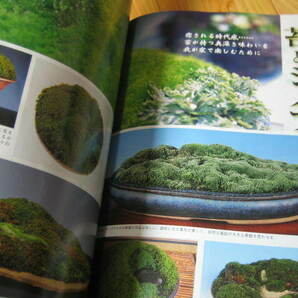 山野草とミニ盆栽 苔とシノブ 苔とあるく ２冊の画像3
