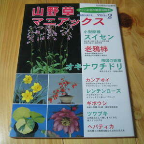 山野草マニアックス vol.2 小型原種 スイセン 老鴉柿 オキナワチドリの画像1