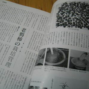 山野草マニアックス vol.2 小型原種 スイセン 老鴉柿 オキナワチドリの画像7