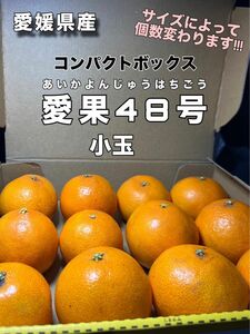 愛果48号　家庭用　小玉　コンパクトボックス