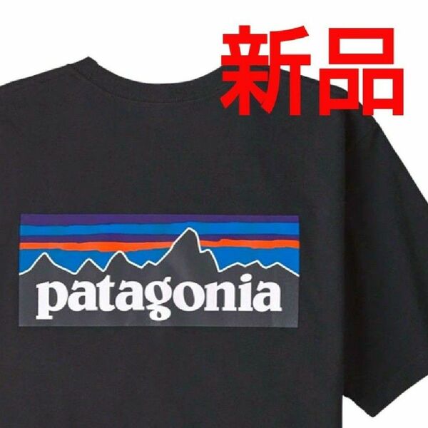 新品★patagonia P-6 Logo Responsibili-Tee パタゴニア ロゴレスポンシビリティTシャツ 国内正規