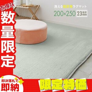 【限定セール】ラグ カーペット ラグマット Lサイズ 200x250cm 極厚23mm 3.2畳 床暖房 抗菌 防ダニ 低反発 絨毯 リビング マット 薄灰