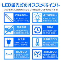 LED蛍光灯 直管 40W形 120cm10本セット 1年保証 昼光色 高輝度SMD グロー式 工事不要 電気 照明 省エネ 天井照明 事務所 オフィス 店舗_画像3