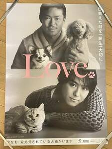 【美品・未使用】EXILE TAKAHIRO MATSU　動物愛護ポスター2013　88円スタート 匿名