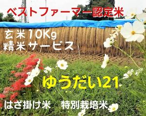 令和5年南信州産　はざ掛け米　特別栽培米【ゆうだい21】玄米10Ｋｇ（精米サービス）