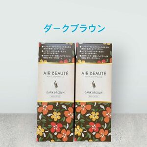 ダークブラウン　2本 エールボーテ　ヘアカラームース　男女兼用白髪染め　泡ムース白髪染め　脱色剤フリー