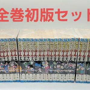 ドラゴンボール DRAGONBALL 初版 全42巻 セット 鳥山明の画像1