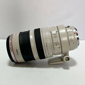 キャノンCanon EF100-400mm F4.5-5.6L IS USM 望遠レンズフルサイズ対応の画像2