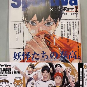 ハイキュー!! ショーセツバン 小説 1巻 影山 チケット風しおり付き