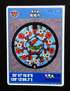  manhole card Tokyo Metropolitan area blue plum city B F368