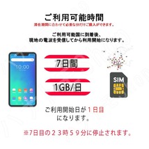 ヨーロッパ43カ国対応 海外SIM プリペイドSIM ヨーロッパ 1日1GB利用 7日間 4G LTE データ専用 海外出張 海外旅行_画像2