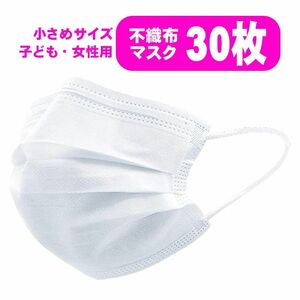 不織布マスク　30枚　小さめサイズ　花粉　かぜ　ハウスダスト　PM2.5