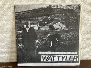 WAT TYLER CONTEMPORARY FARMING ISSUES UK盤 シングル レコード NO ID HOPS AND BARLEY WE PLEDGE OUR ALLIEGANCE TO SATAN 1989 PUNK