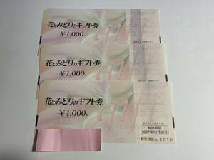 花とみどりのギフト券 1000円 3枚 有効期限2027年12月31日