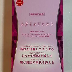 メナード　スタイルアシスト27g 45粒×2袋