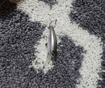 アンレーズ サムシャッド TS-39SP　（４）　 Thumb Shad ANRE`S アングラーズリパブリック Angler`s Republic　　ベイトフィネス_画像6