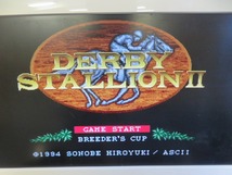 KME13534★SFCソフトのみ ダービースタリオン2 DERBY STALIONⅡ ダビスタ セーブデータ有り 起動確認済み クリーニング済み スーファミ_画像4