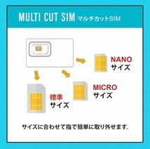 新品 開通期限なし プリペイドsim 【 100GB / 365日 】 Docomo 1年 大容量 data sim 日本 SIMカード 契約不要 かんたん設定 SIMピン付き_画像10