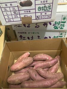 125.お買い得さつまいも、紅はるか箱込み5kg