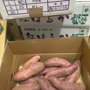 125.お買い得さつまいも、紅はるか箱込み5kg