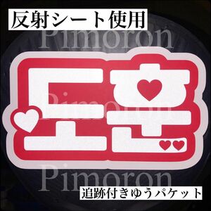 TWSドフンうちわ文字ハングルネームボードトレカグッズうちわ文字オーダーうちわ文字屋さん反射シートコンサート韓国ペンライト