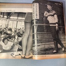 お宝 日劇女優 島淳子ヌード ピンナップ 昭和レトロ 大人の絵本 別冊 週刊サンケイ 昭和34年 1962年12月号 東條英機未発表手記 街の看板娘_画像7