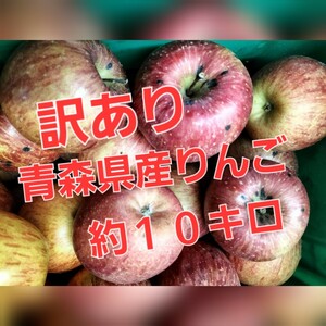青森県産りんご ふじ 家庭用 青森 弘前 津軽 赤いりんご 早く食べて リンゴ 美味しいよ 10kg 10キロ 訳あり 加工用 生食用 
