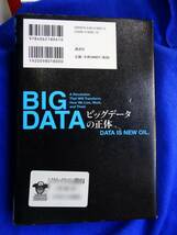 ビッグデータの正体　講談社　リサイクル本　内部はきれいな本です。_画像4