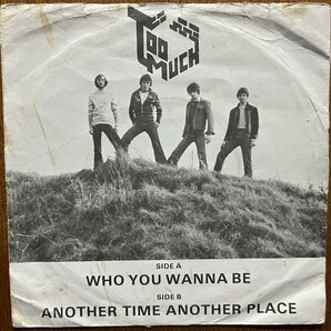 試聴可 Too Much - Who You Wanna Be orig 7'【70's punk/power pop/new wave パンク天国】の画像1