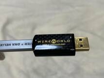 【設置のみ】【美品】WIRE WORLD ワイヤーワールド　Platinum Starlight 7　USB A to B　PSB7　USBケーブル　プラチナ【1.0m】_画像6