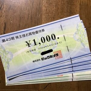 ビックカメラ コジマ 株主優待券 10枚（10000円分） 2024年5月31日期限