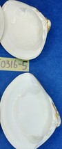 蛤 YMS−24-0316-5　90mm×2個　　江戸前　ハマグリ　貝殻　標本　材料_画像8