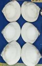蛤 YMS−24-0317-3　50mm×12個　　江戸前　ハマグリ　貝殻　標本　材料_画像7