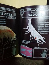 【学研】深海生物大百科　中古品_画像2