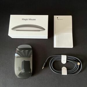 Apple Magic Mouse（Multi-Touch対応） MMMQ3J/A（ブラック）