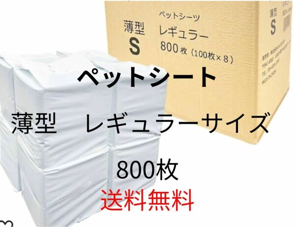 ペットシーツ 薄型 レギュラートイレシート ペット シーツ 犬 猫 大容量 ペットシート (レギュラー 800枚