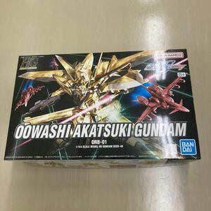 【新品未組み立て】HG アカツキガンダム オオワシ装備　