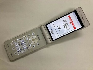 AG383 docomo P-01H ホワイト