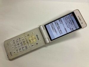 AG181 docomo P-01G ホワイト