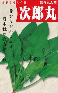 次郎丸ほうれん草の種子 100粒 暑さ寒さに強く作りやすい ほうれんそう 【2024.3】 ホウレンソウ 法蓮草