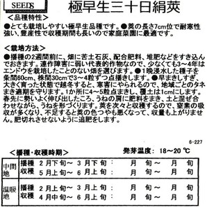 絹サヤエンドウの種子 10粒 つるあり 極早生三十日絹莢 絹さや エンドウ豆 えんどう豆 極早生品種の画像2