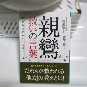 親鸞救いの言葉 : 生きる力がわいてくる!