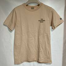 送料185円 TES エンドレスサマー Tシャツ サイズS BUHI_画像3