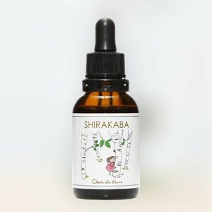 白樺フラワーエッセンス　20ml　 フラワーエッセンスのシャンドゥルール